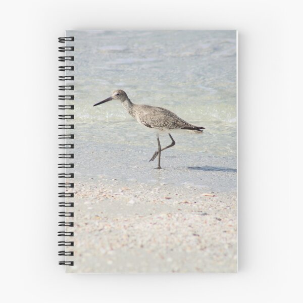 Item preview, Willet at the Tide Line designed and sold by astronaut01.