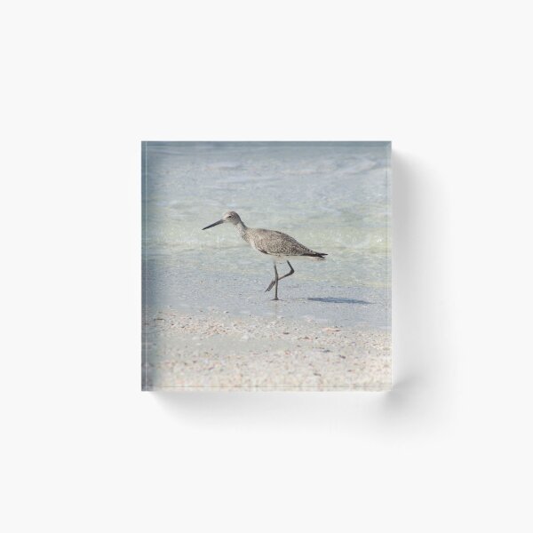 Item preview, Willet at the Tide Line designed and sold by astronaut01.