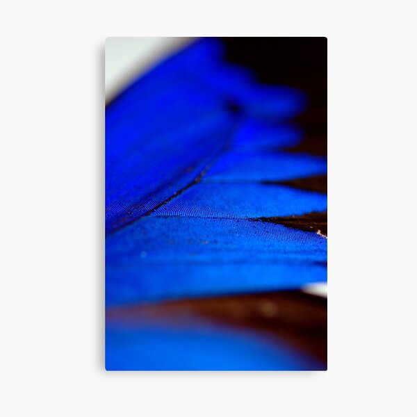Shimmering Blue Canvas Print