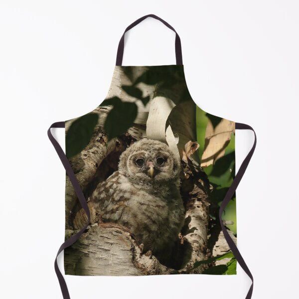 Item preview, Baby barred owl Camouflage designed and sold by locustgirl.