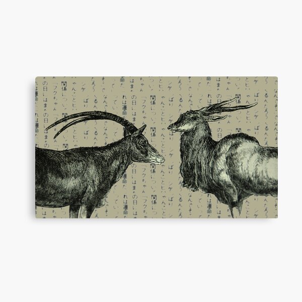 Oxen Canvas Print