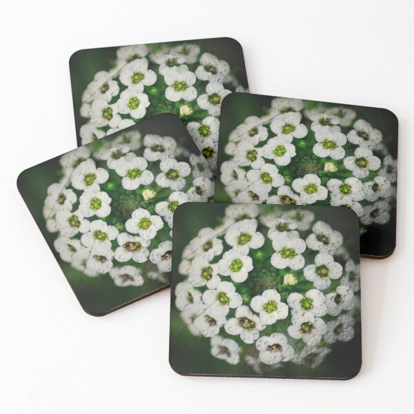Item preview, Sweet Alyssum Close-Up designed and sold by DesignMore21.
