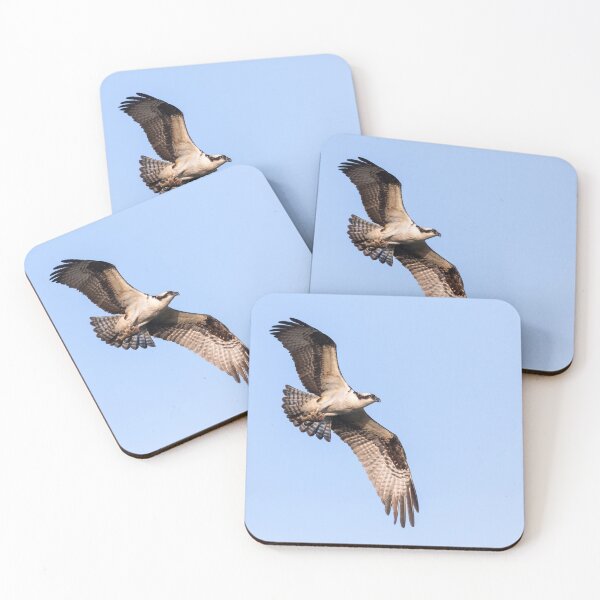 Item preview, Osprey 2021-4 designed and sold by Thomasyoung.