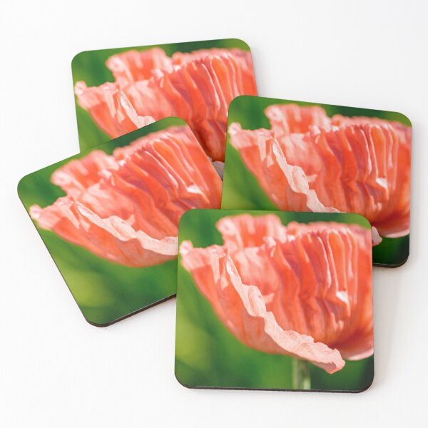 Item preview, Pink feather oriental poppy flower designed and sold by jillianbutolphphoto.