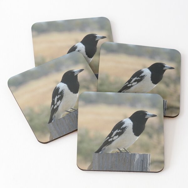 Item preview, Butcher Bird Posing designed and sold by Diana Grunwald.