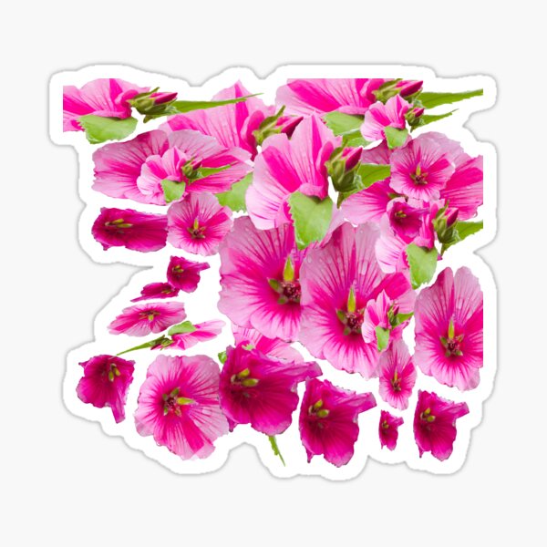 pink flowers aplenty Sticker