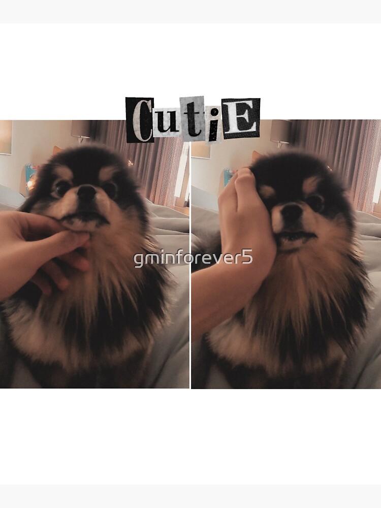 BTS Taehyung + Yeontan Canvas Tote Bag – dreajournals