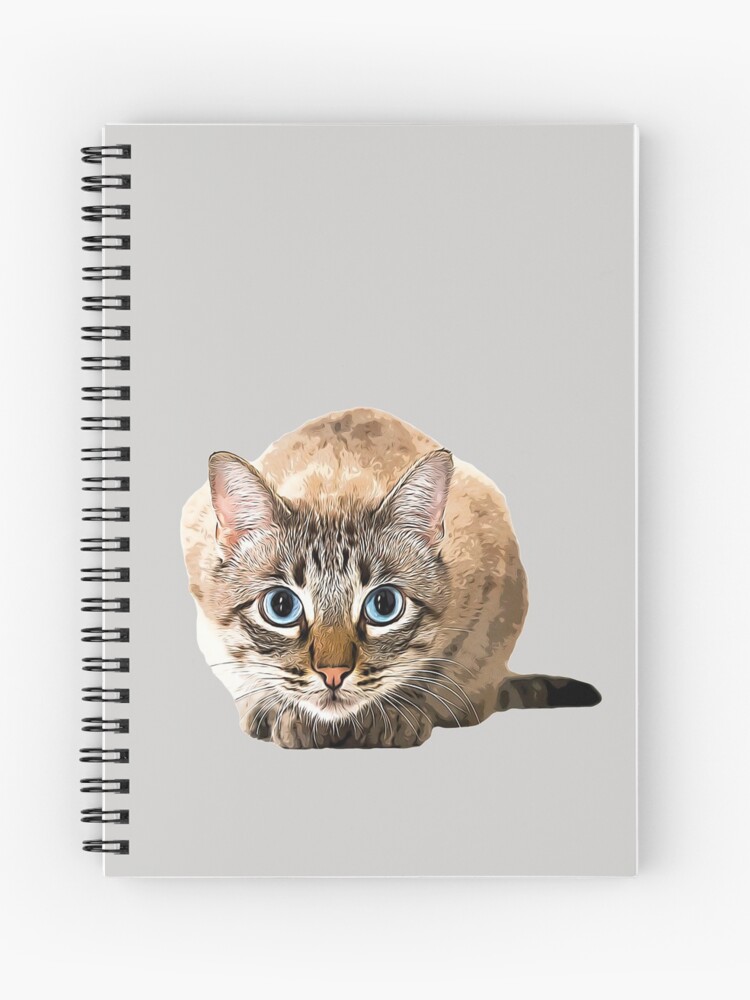 The Types of Cat Loaf Spiral Notebook for Sale by usclaireforce