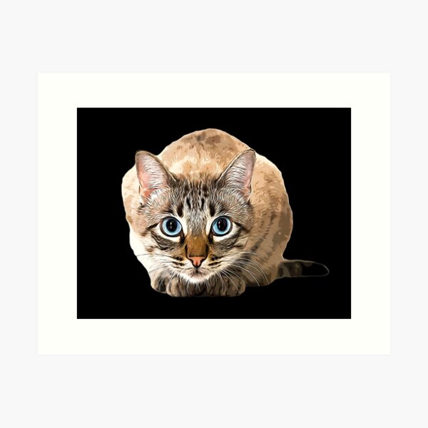Bengal Cat Snow Mink Beauty Art Print