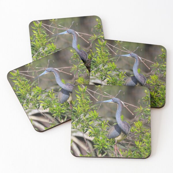 Item preview, Black-necked Stilt designed and sold by NaturesLens.