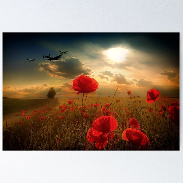 Item preview, Royal Air Force Tribute designed and sold by Airpower Art.