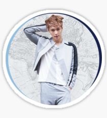 Exo Lay Sticker