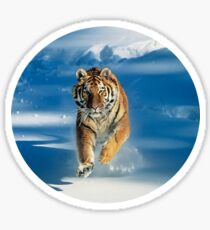 tiger Sticker