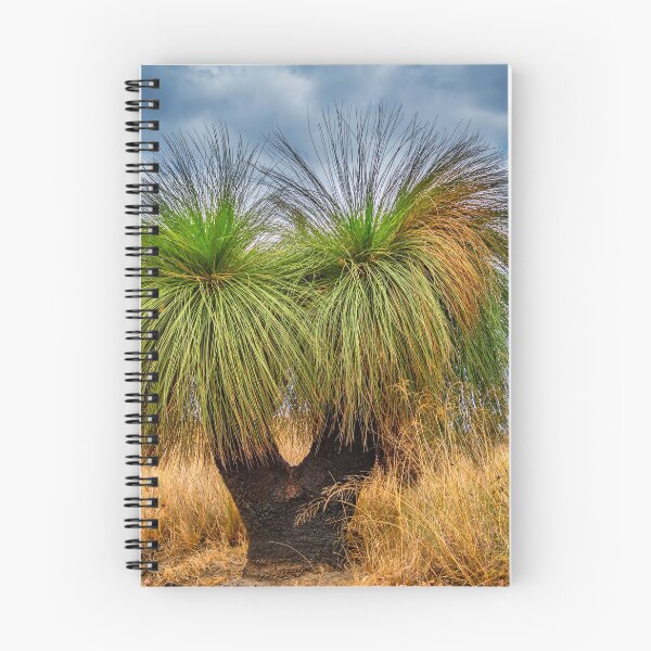 Item preview, Australian native Grass Tree designed and sold by Ricjacyno.