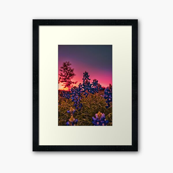 Item preview, Bluebonnets at sunset designed and sold by SunsetMagic.