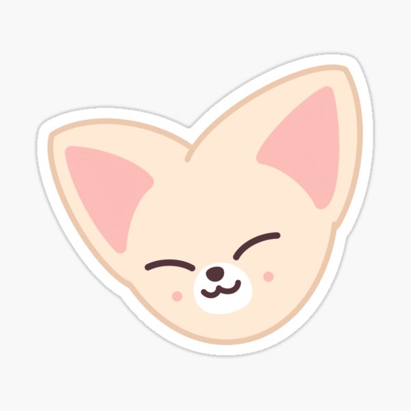 Foxi Ny Skzoo Gifts & Merchandise for Sale | Redbubble