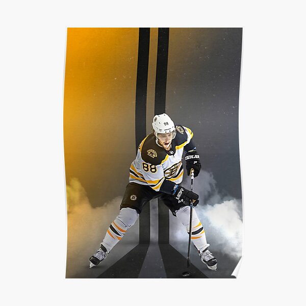 David Pastrnak Winter Classic Poster for Sale by livcharb