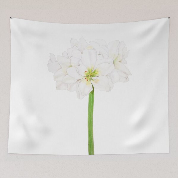Item preview, hand painted white Amaryllis flowers watercolor  designed and sold by ColorandColor.
