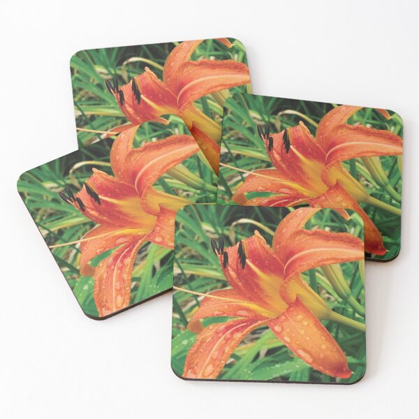 Item preview, Orange Daylily designed and sold by A H GINARTE.