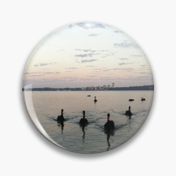 Item preview, Swans on the Swan River designed and sold by Natika.