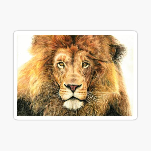 Brawn and Beauty Sticker