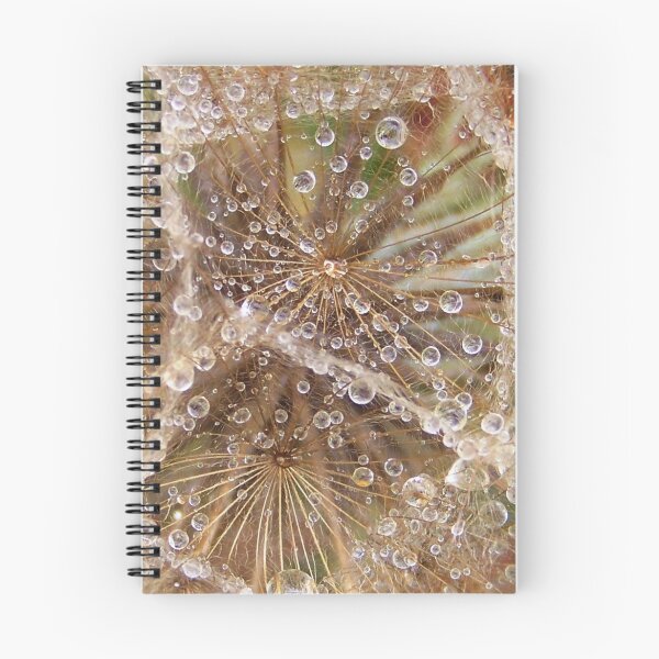 Aperçu de l'œuvre Bijoux dans la couronne - Tragopogon porrifolius - Salsifis créée et vendue par Coloursofnature.