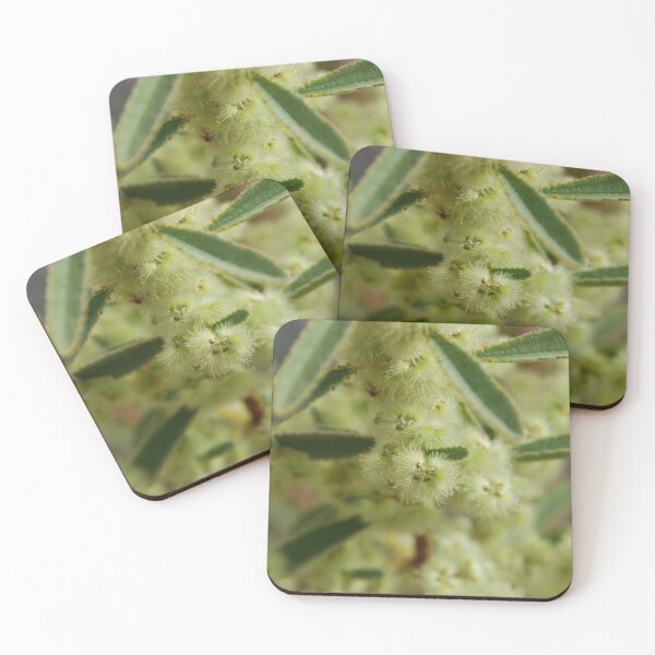 Item preview, Bloomin' Desert flora designed and sold by Natika.