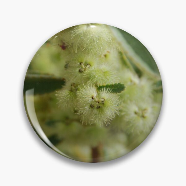 Item preview, Bloomin' Desert flora designed and sold by Natika.
