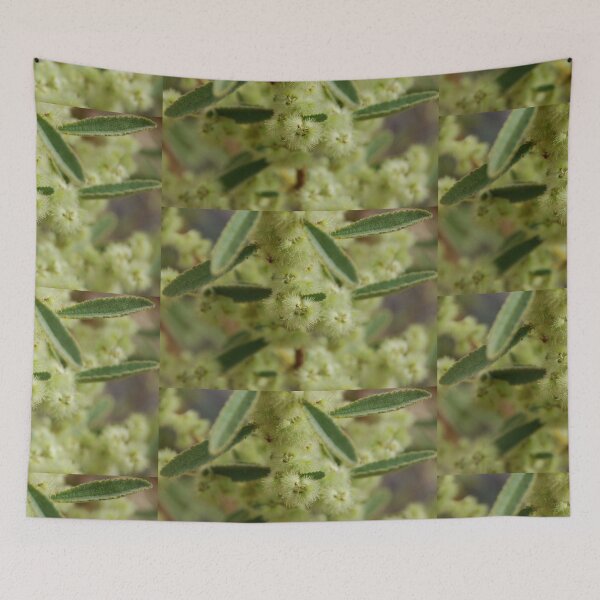 Item preview, Bloomin' Desert flora designed and sold by Natika.