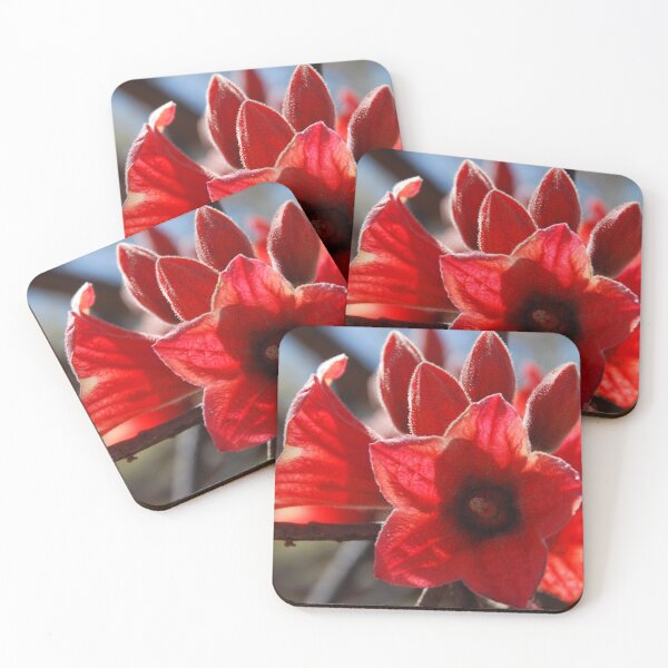 Item preview, Kimberley Rose designed and sold by Natika.