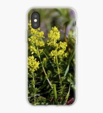 Galium Verum (Lady’s Bedstraw), Inishmore, Aran Islands iPhone Case