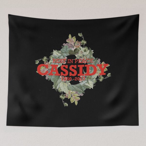 Item preview, Cassidy 1950-2017 designed and sold by DavidCassidyPop.