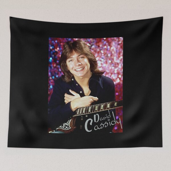Item preview, David Cassidy 1970s hollywood designed and sold by DavidCassidyPop.