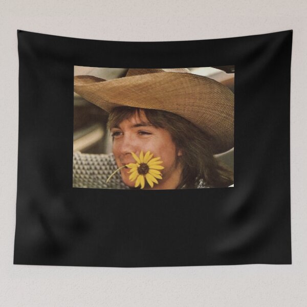 Item preview, David Cassidy 1970s hollywood Gifts designed and sold by DavidCassidyPop.