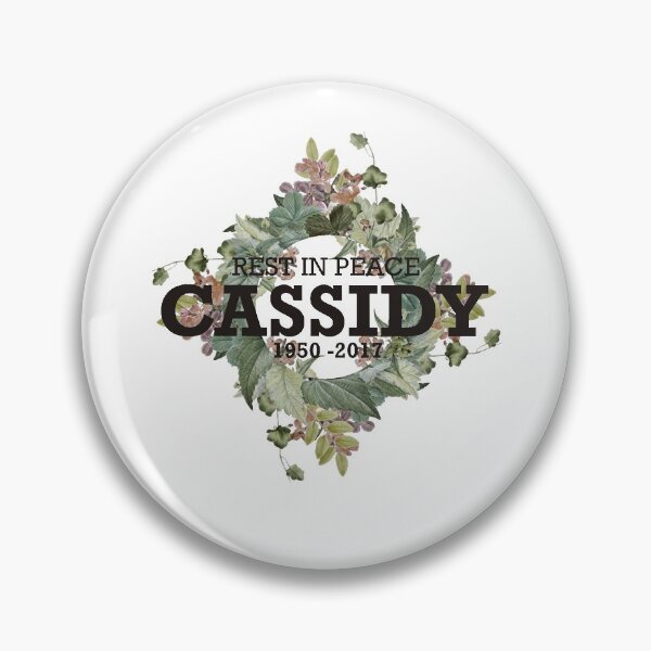 Item preview, David Cassidy RIP designed and sold by DavidCassidyPop.