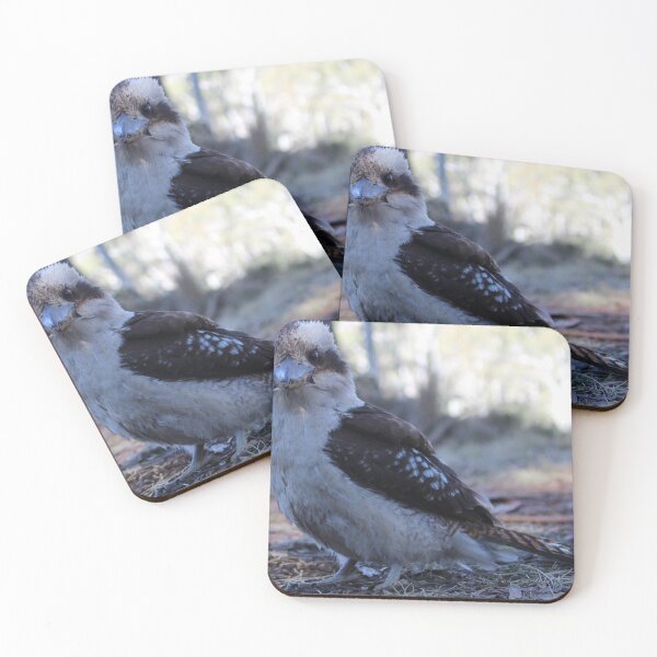Item preview, Kookaburra designed and sold by AshLiam.