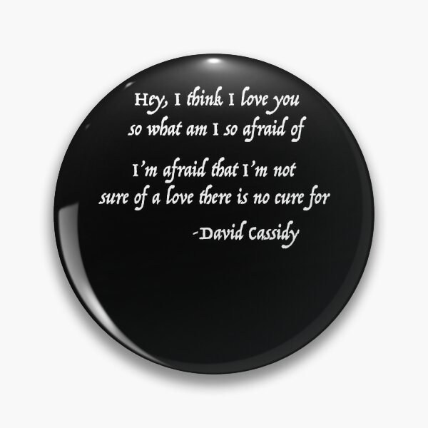 Item preview, Hey, i think i love you David Cassidy designed and sold by DavidCassidyPop.