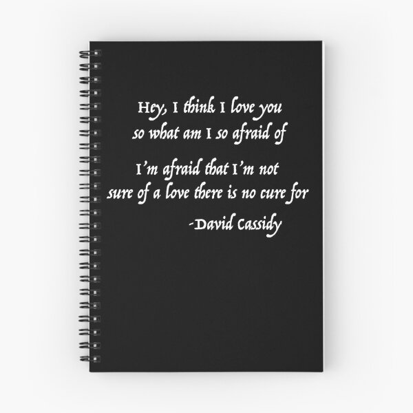 Item preview, Hey, i think i love you David Cassidy designed and sold by DavidCassidyPop.