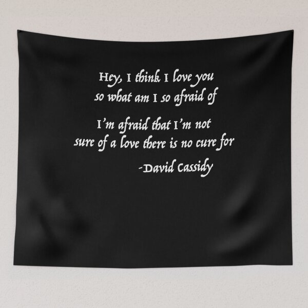 Item preview, Hey, i think i love you David Cassidy designed and sold by DavidCassidyPop.