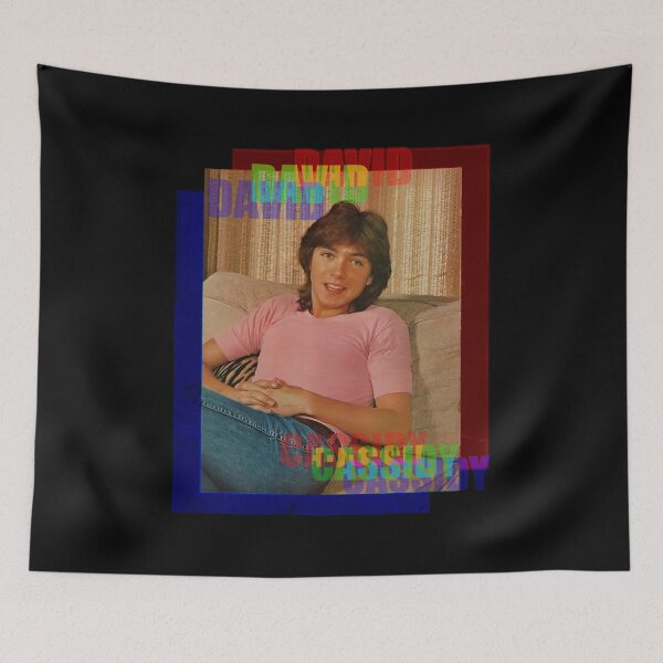 Item preview, Smile Gift David Cassidy designed and sold by DavidCassidyPop.