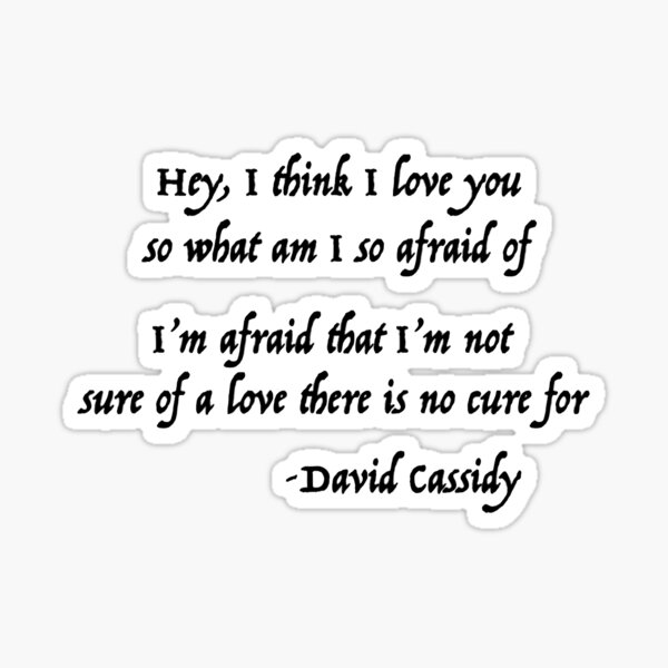 karaoke david cassidy i think love you lyrics