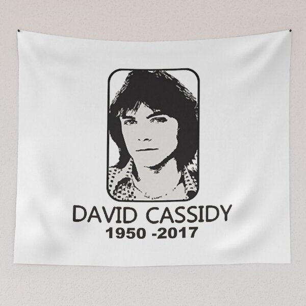 Item preview, I've had three biographies made about my life so people know an awful lot about me designed and sold by DavidCassidyPop.