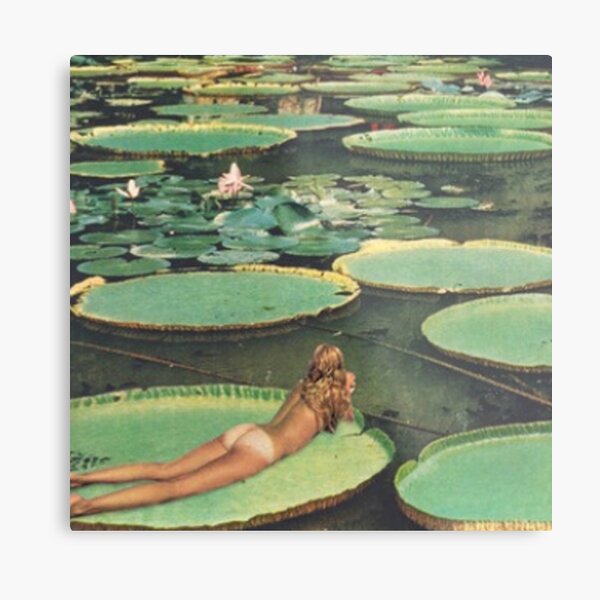 Lily Pond Lane Metal Print