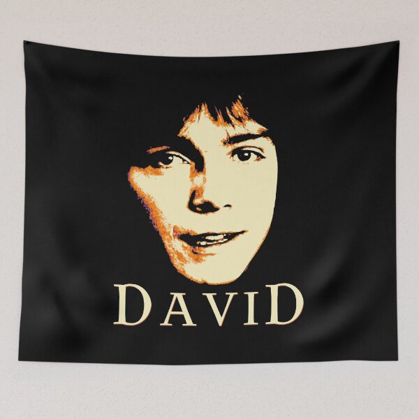Item preview, David designed and sold by DavidCassidyPop.