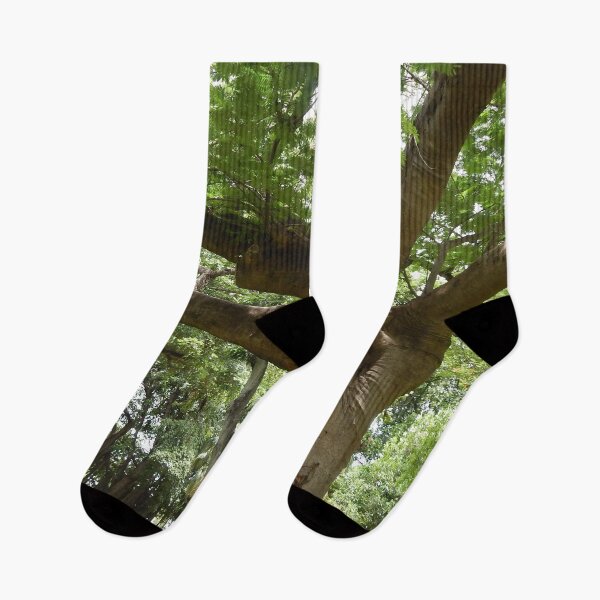 Item preview, Poinciana Tree Trunk and Leaves designed and sold by Bennymp.