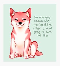 "No One Knows What They're Doing" Shiba Photographic Print