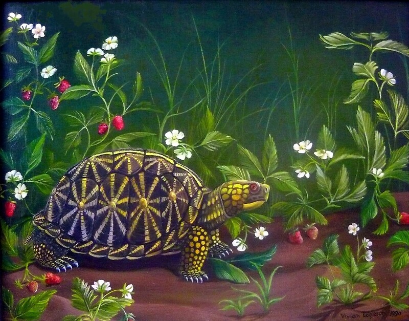 “Florida Box Turtle, Strawberries and Blooms” by Vivian Eagleson