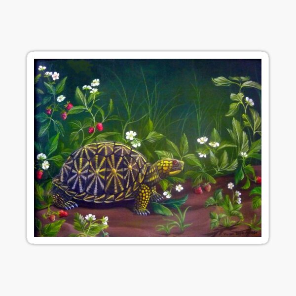 Florida Box Turtle, Strawberries and Blooms Sticker