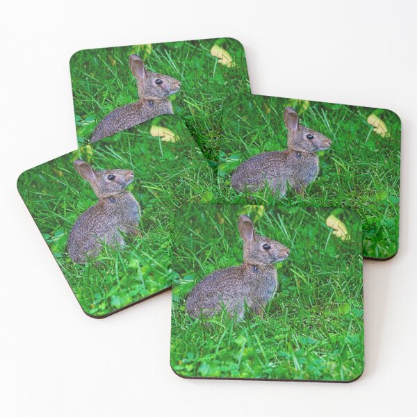 Item preview, Little Bunny designed and sold by Brad Chambers.