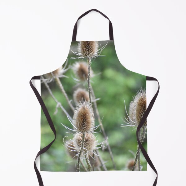 Item preview, Teasel Dipsacus designed and sold by Meggie-moos.